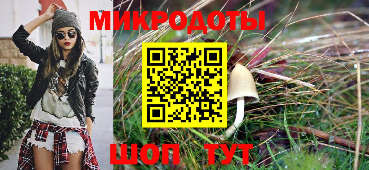 магазин    Вход с VPN  Кореновск  Галлюциногенные грибы Psilocybe 
